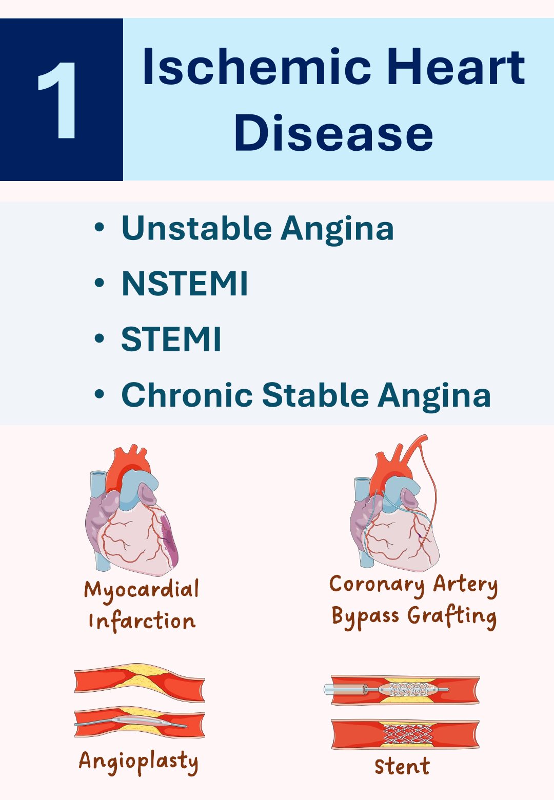 Skeletal System