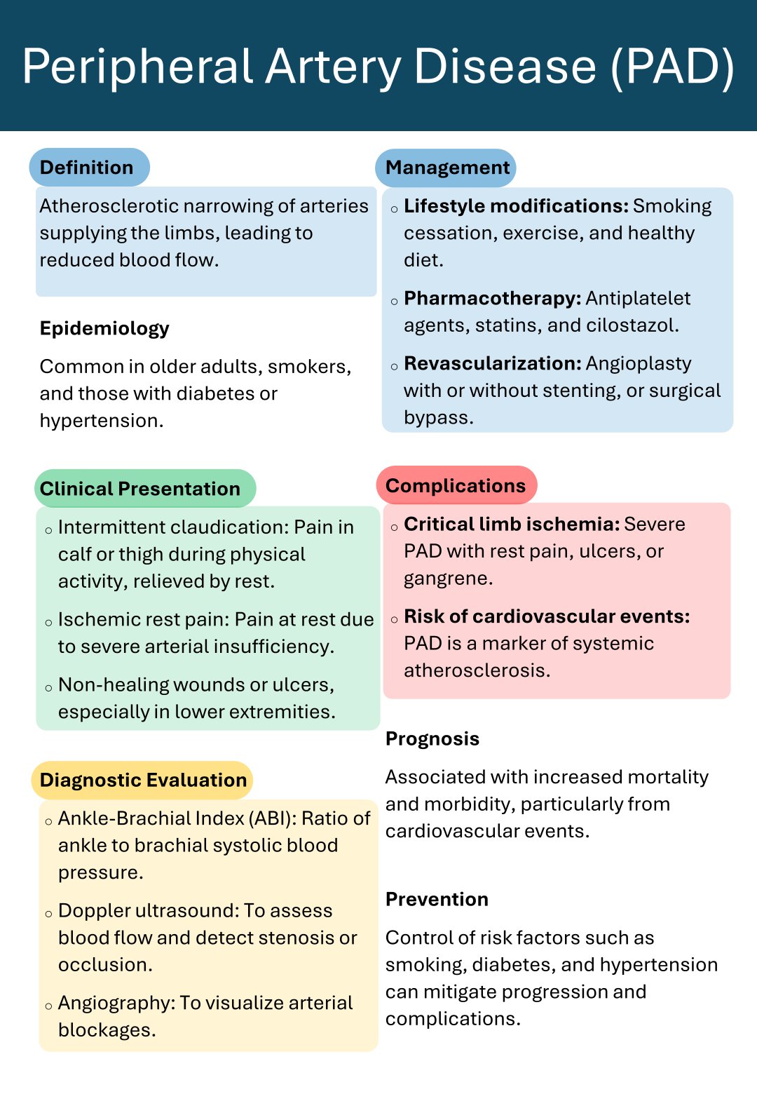 Cardiac Cycle